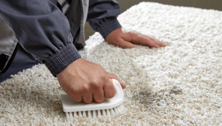 Professional Rug Cleaning Manifold Heights